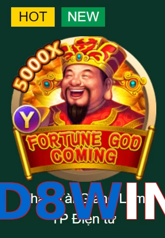 D8WIN
